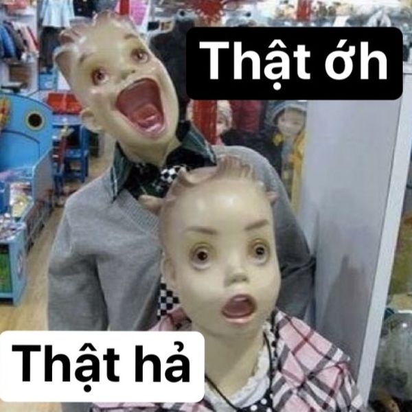 meme việt nam thật hả