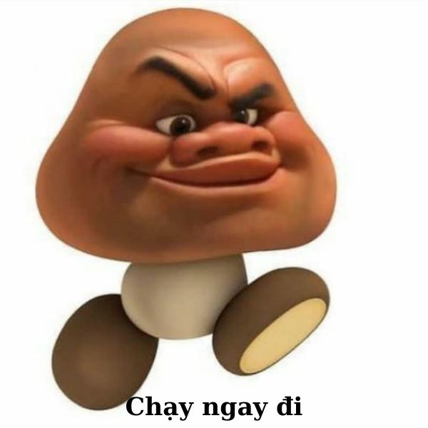 meme vn chạy ngay đi