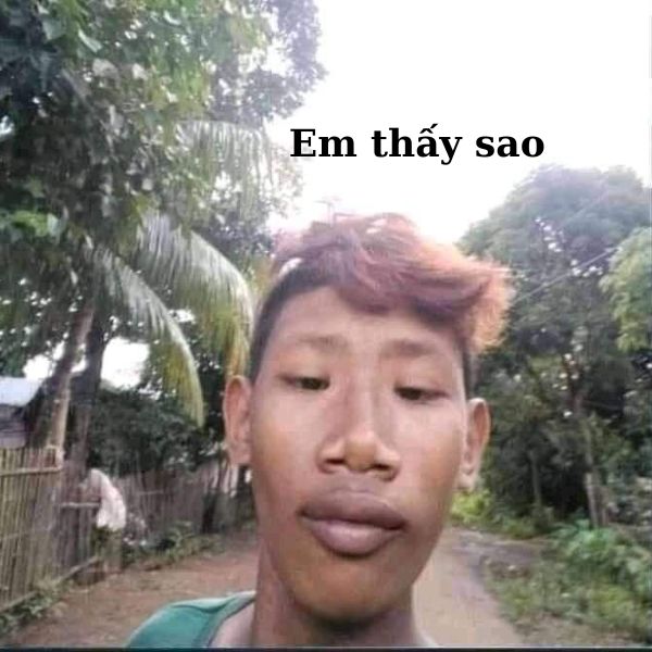 meme vn chế