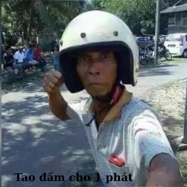 meme vn cực hài