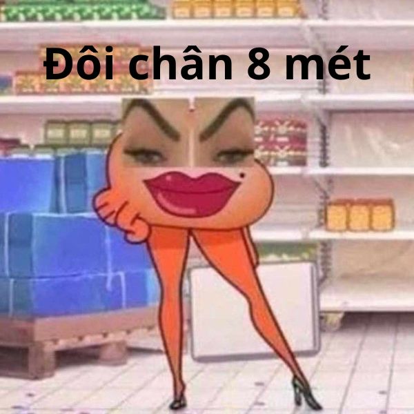 meme vn đôi chân 8 mét