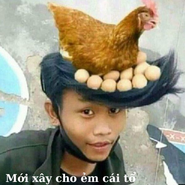 meme vn gà đẻ trứng