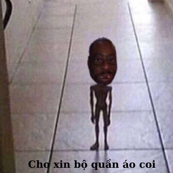 meme vn hài hước