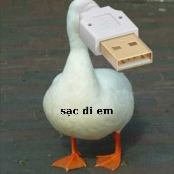 meme vn sạc đi em