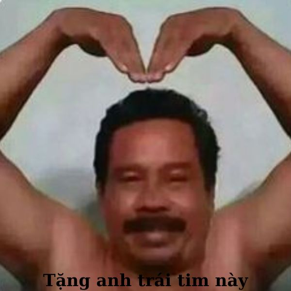 meme vn trái tym
