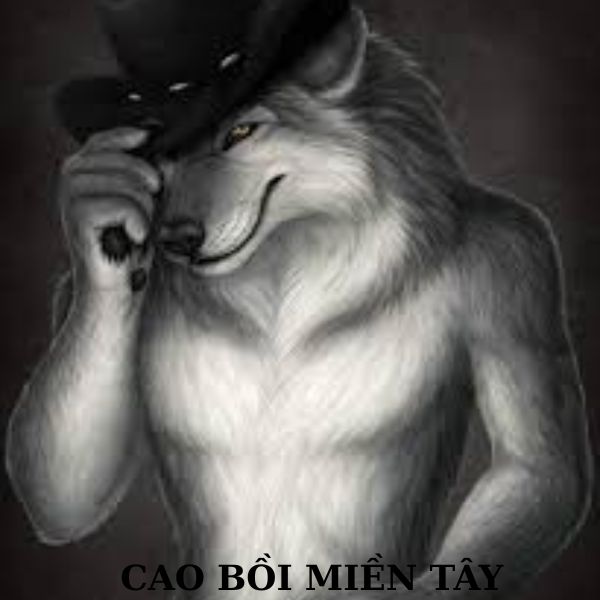 sói cô độc meme cao bồi
