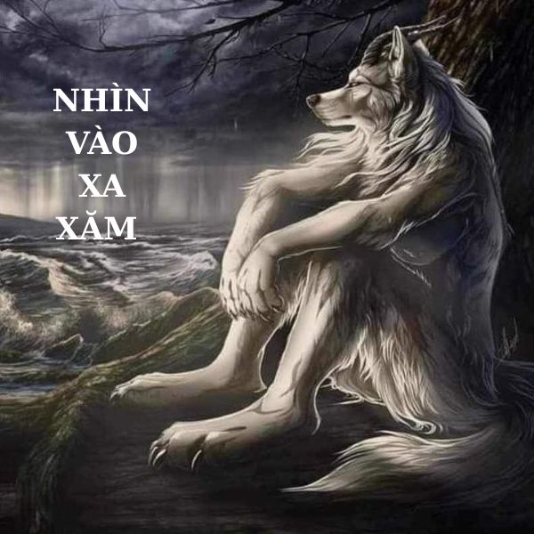 sói cô độc meme nhìn vào xa xăm